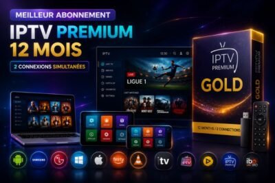 abonnement iptv france 12 mois 2 connexions simultanées